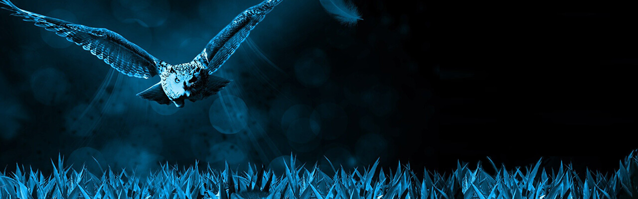 法令遵守で調査情報の秘密厳守